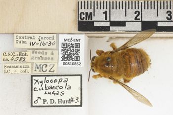 Media type: image;   Entomology 810852 Aspect: labels
